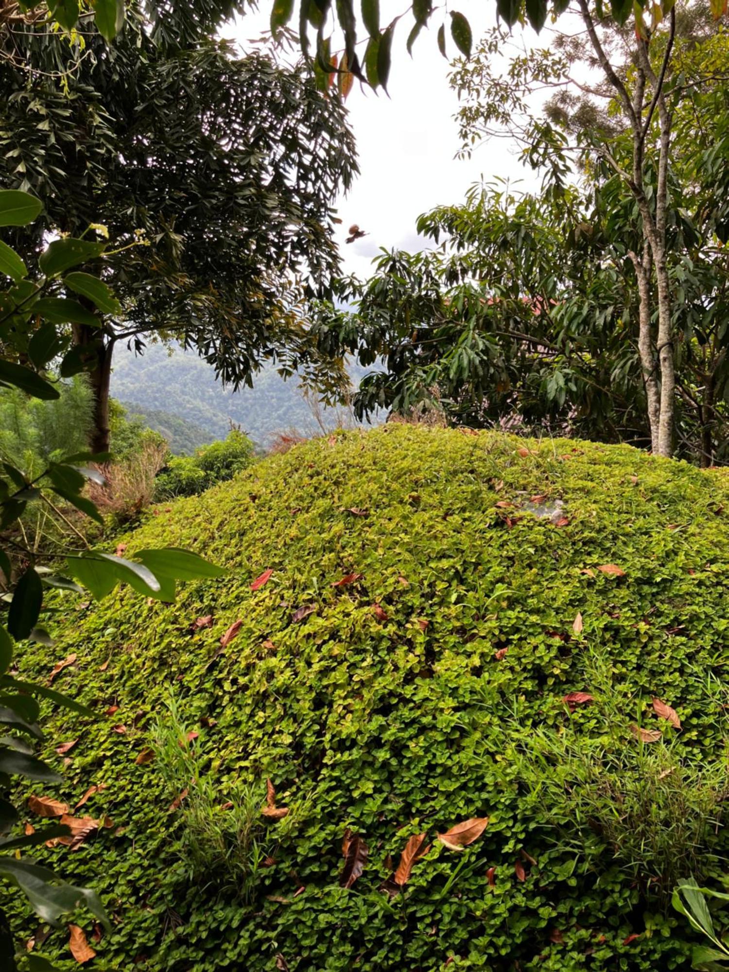 The Cloud Resort Kadugannawa Exterior foto
